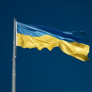 Find our updates and demands on how to help Ukraine