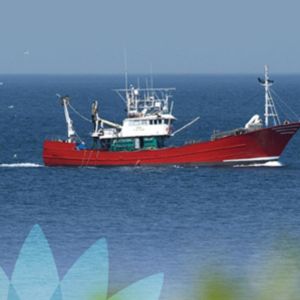 10 Demandes Verds per a la reforma de la Política Pesq