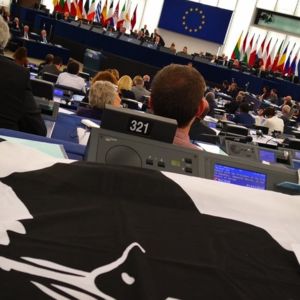 EFA MEP Miranda calls for Corsican rights recognition
