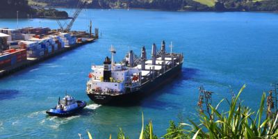 Cargo ship leaving Port Chalmers, New Zealand / CC0 Nareeta Martin