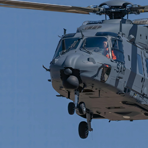 Defence Omnibus: Council blocks true progress