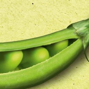Put a Smile on the Planet with Organic