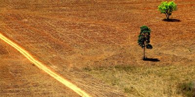 Deforestation in the Amazon/ Ana_Cotta S.O.S Amazônia/ Flickr CC BY 2.0