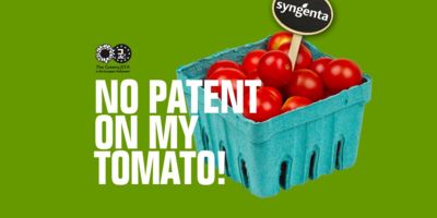 sharepic tomatoe patent