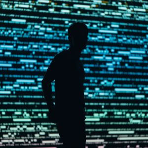 The digital person