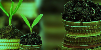 Picture of growing plants on coins