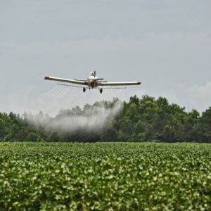 Time for stricter testing around pesticide authorisati