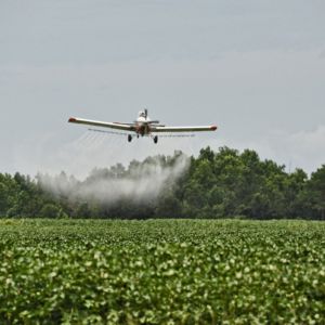 É ora che i test per l'autorizzazione dei pesticidi di