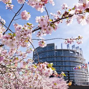 Strasbourg EP in Spring