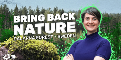 Bring back nature in Germany video thumbnail