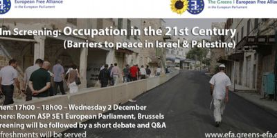 Palestine Film Graphic 1  small 