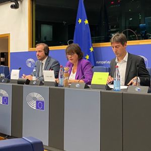 Eurodiputats de l'ALE demanen la creació d’un protocol