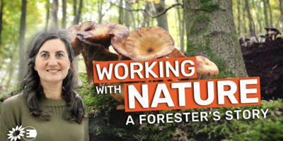 Working with nature - a foresters story video thumbnail