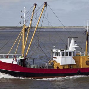 Reform der Fischereipolitik