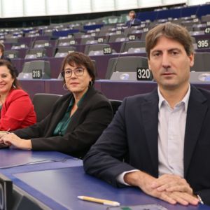 EFA MEPs stand with the Amnesty law in Spain