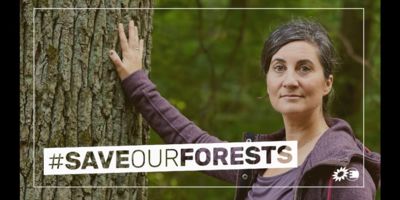 Save our forests