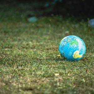 globe on grass