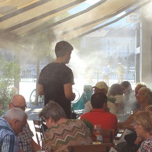 The Greens/EFA Heatwave Action Plan