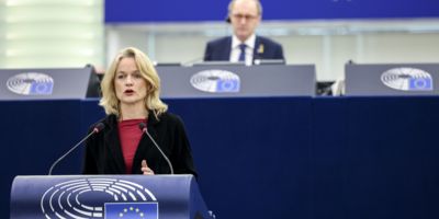Viola von Cramon MEP addresses Plenary