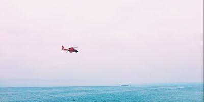 see rescue