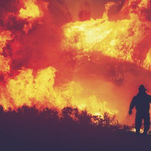 Wildfires: Greens/EFA call for urgent Heatwave Action 