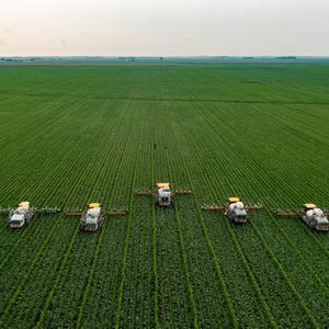 Farming