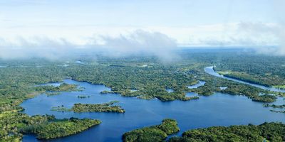 Aerial view of the Amazon Rainforest, near Manaus