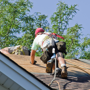 Citizens entitled to social rights when working abroad