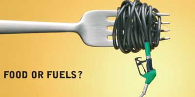 Plant fuels