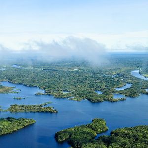Aerial view of the Amazon Rainforest, near Manaus