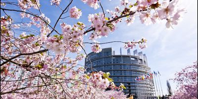 Strasbourg EP in Spring