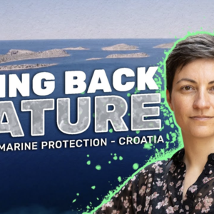 bring back nature in croatia