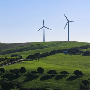 Wind turbines in a field/ CC0 Alex Eckermann