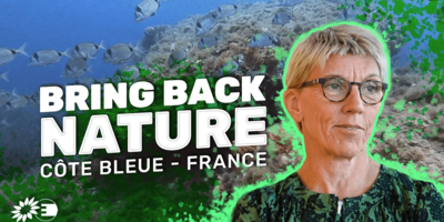 Bring back nature in France video thumbnail