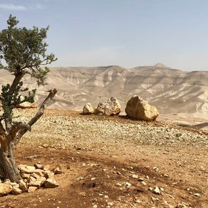 Sanctions on Israeli settlers: Quote from MEPs Vieira 