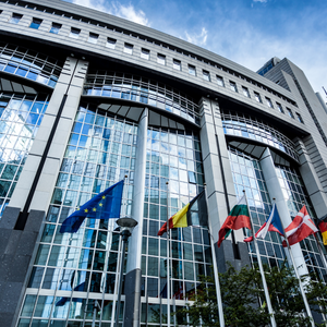 Calls for Accountability for Far-Right Group