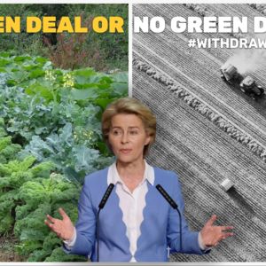 VDL CAP Green Deal