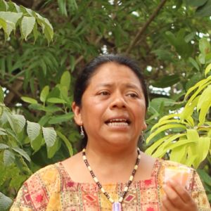 Preseleccionada Aura Lolita Chávez, nominada por los V