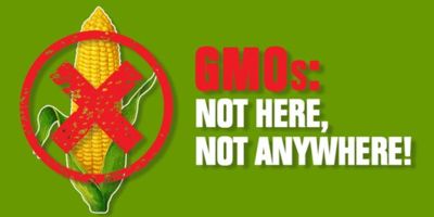 gmo cultivation website-image EN