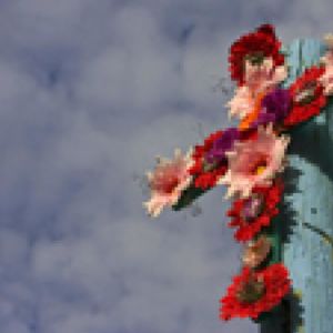 El feminicidio ha alcanzado proporciones alarmantes
