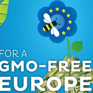 Un vote historique contre la culture d'OGM