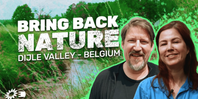 Bring back nature in Belgium video thumbnail