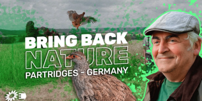 Bring back nature in Germany video thumbnail