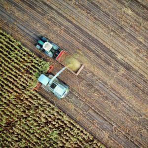 Industrial farming seen from above / CCO no one cares