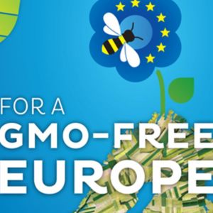 Per un' Europa senza OGM