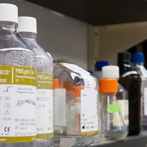 Chemicals