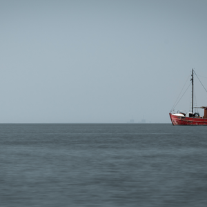 Baltic Sea: Greens/EFA push for better protection