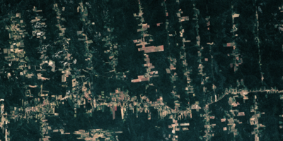 Satellite picture of Amazon rainforest