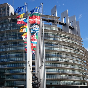Parliament puts far-right party on notice