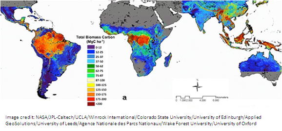 NASA Map of Global Carbon in Forests